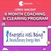 6 month Coaching & Clearing Program - Leroy Malouf