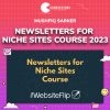Mushfiq Sarker – Newsletters for Niche Sites Course 2023