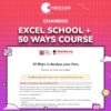 Chandoo – Excel School + 50 Ways Course