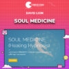 David Lion – Soul Medicine