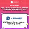 Amy Meissner – A14 Advanced Weekly Option Strategy Workshop 2023