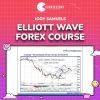 Jody Samuels – Elliott Wave Forex Course