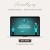 Higher Levels – Cold Email Engine